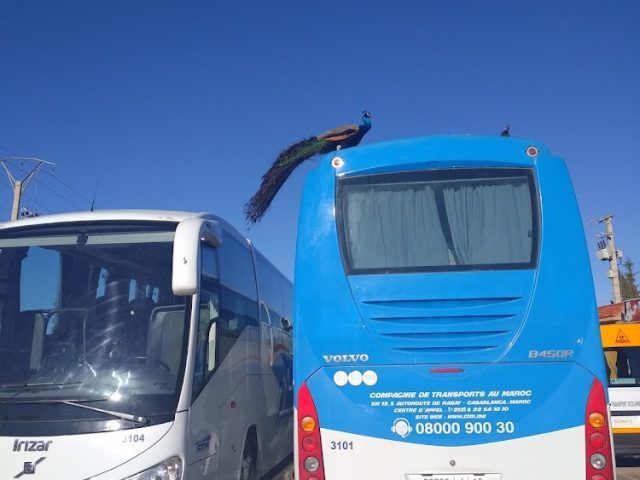 CTM OUED ZEM ستيام واد زم - Oued Zem -