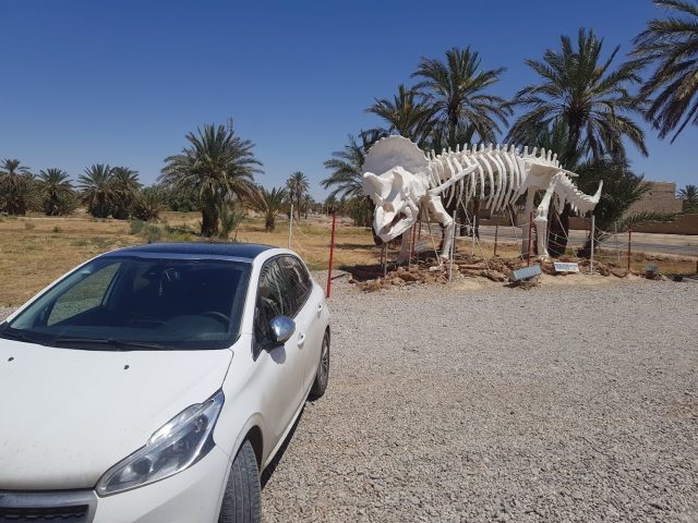 Location Allo Voiture - Azrou - +212 5355-60612