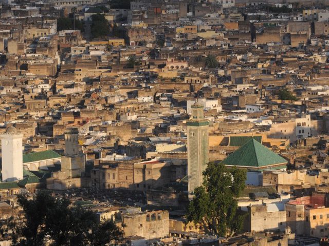 Fez Guide Advisor - Fès - +212 5356-35605