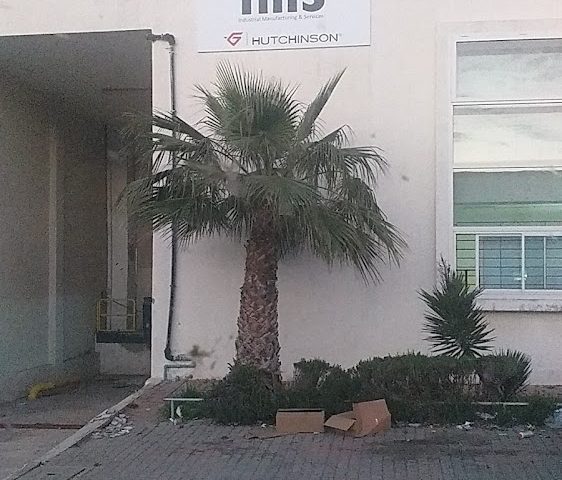 ims HUTCHINSON -  -