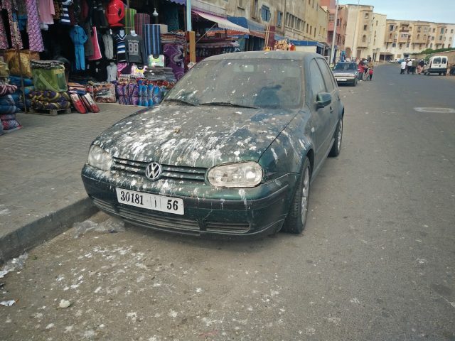 Merengue Tours - location de voiture - Essaouira - +212 661-645390