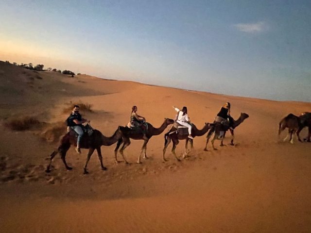 South Morocco trips and holidays - Fès - +212 638-216633