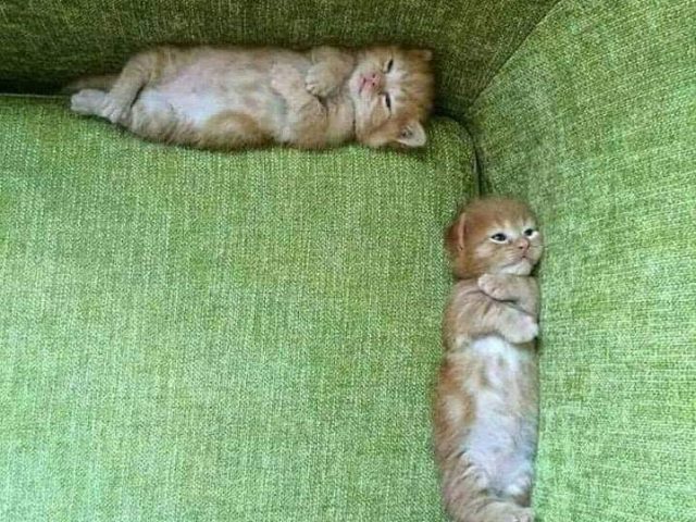 MBS CAR - Mohammédia - +212 634-263910