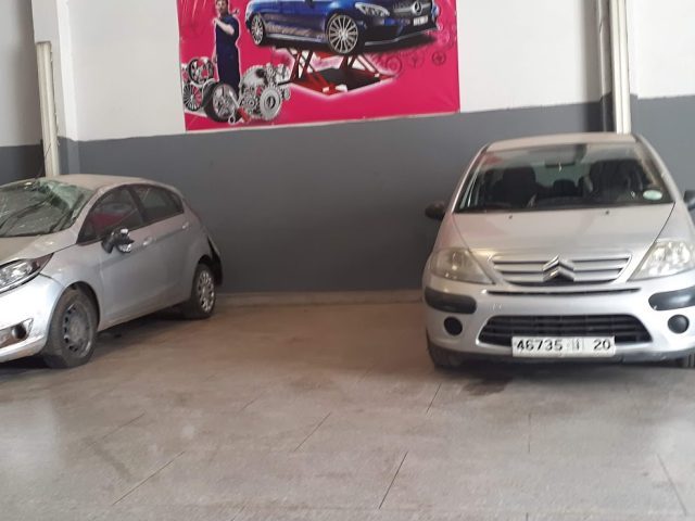 Auto mejjat