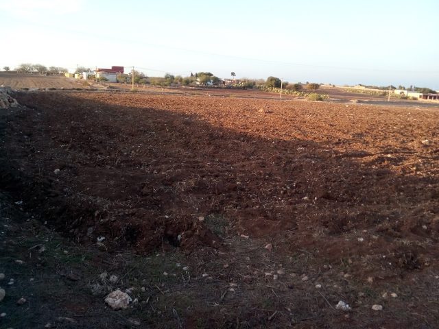 Scania El Jadida - El Jadida - +212 5223-59772
