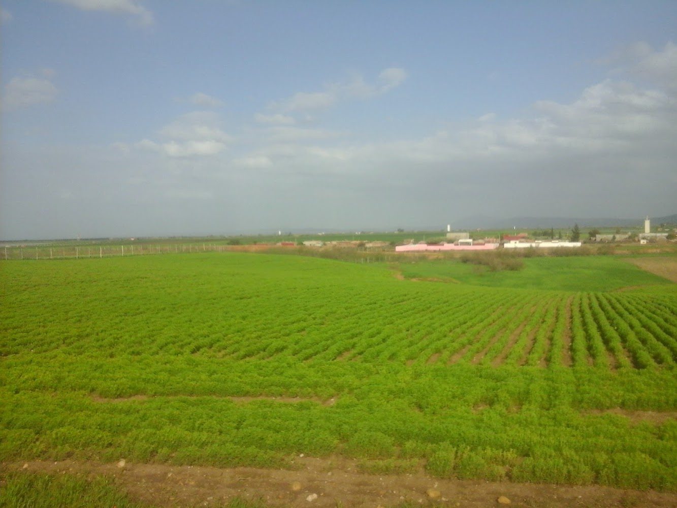 Sidi Slimane