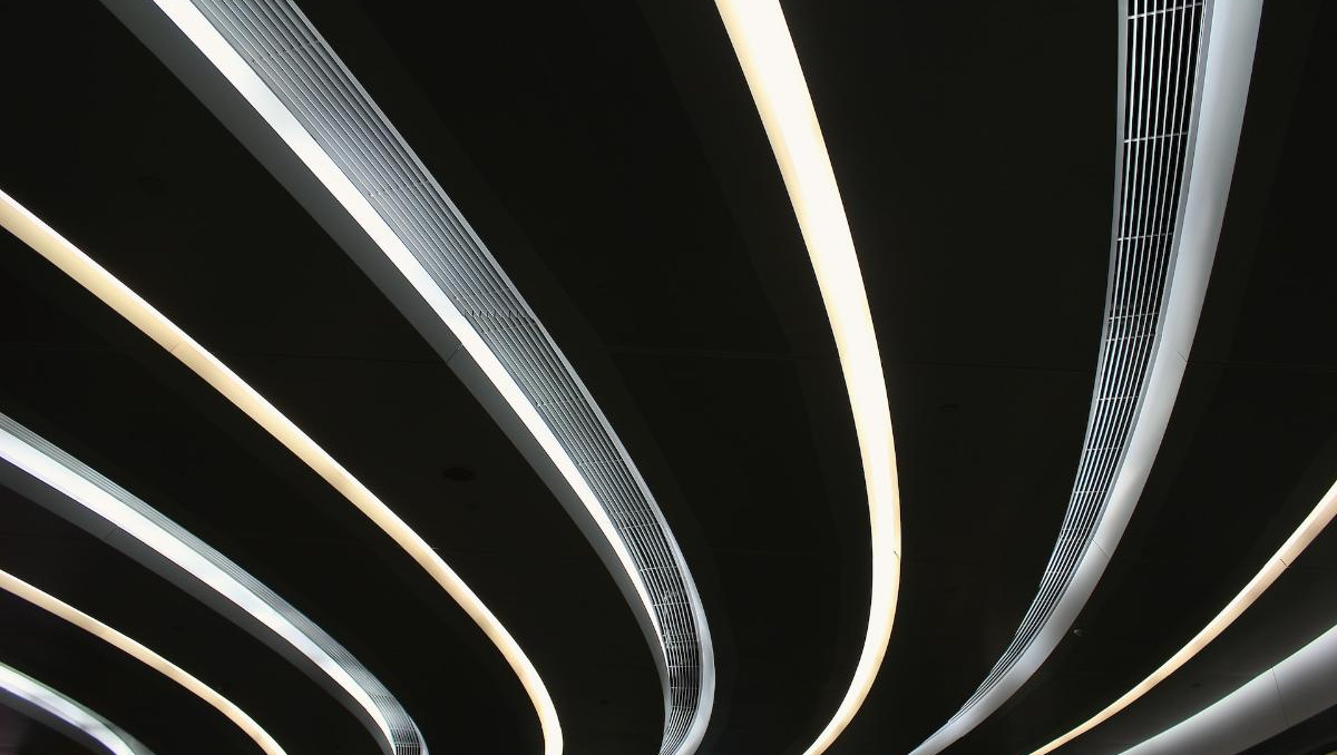 تجنب الأخطاء: سلاح الطيور الجارحة السرّي