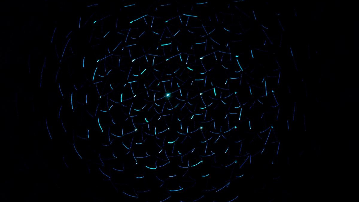 تيريم يفاجئ بقراره رفض مقترح إدارة الشباب!