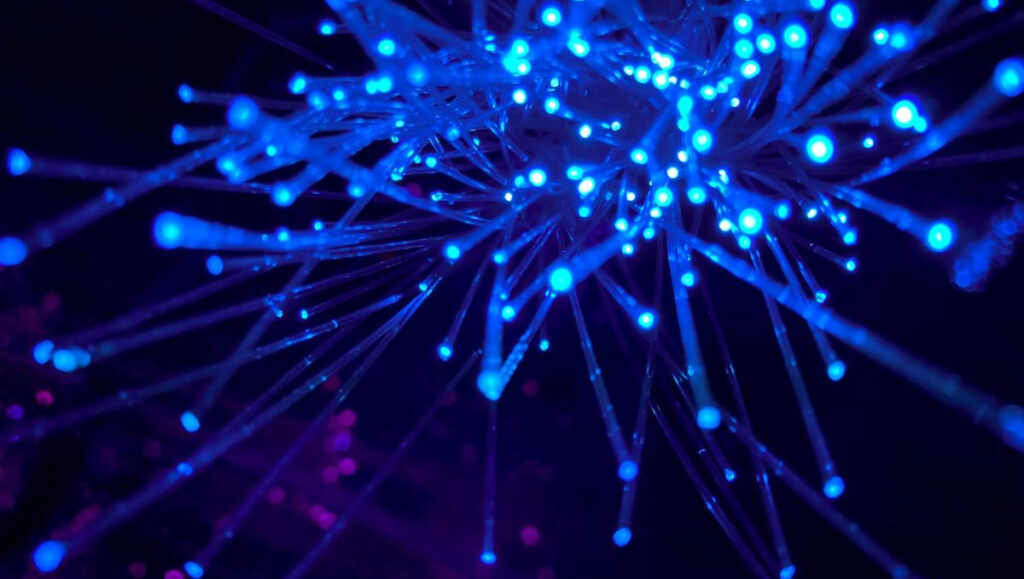 أوكرانيا غائبة عن قمة الناتو: ما هي الأسباب وراء هذا القرار؟