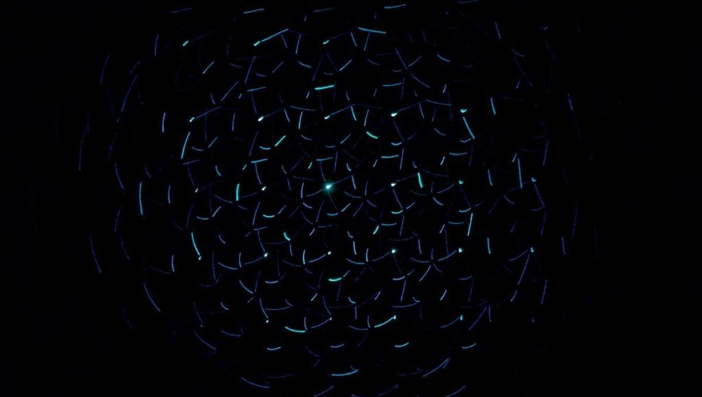 استكشف 11.518 عيادة مدرسية: كيف تؤثر على مناطقنا؟