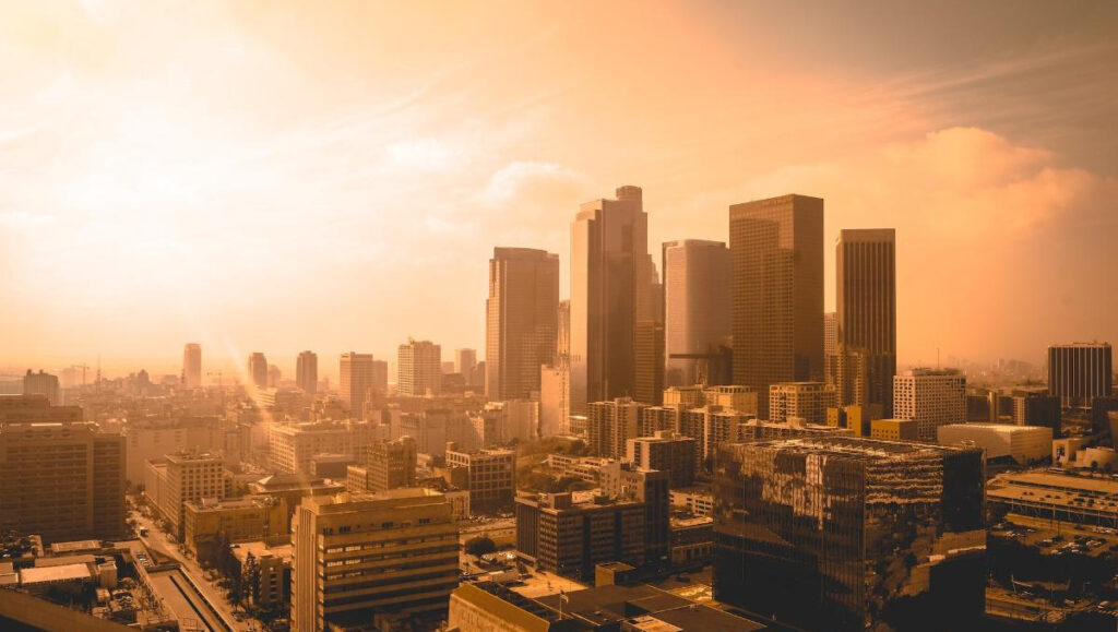 المختبر المتنقل: اكتشف المراقبة المستدامة للغطاء النباتي!