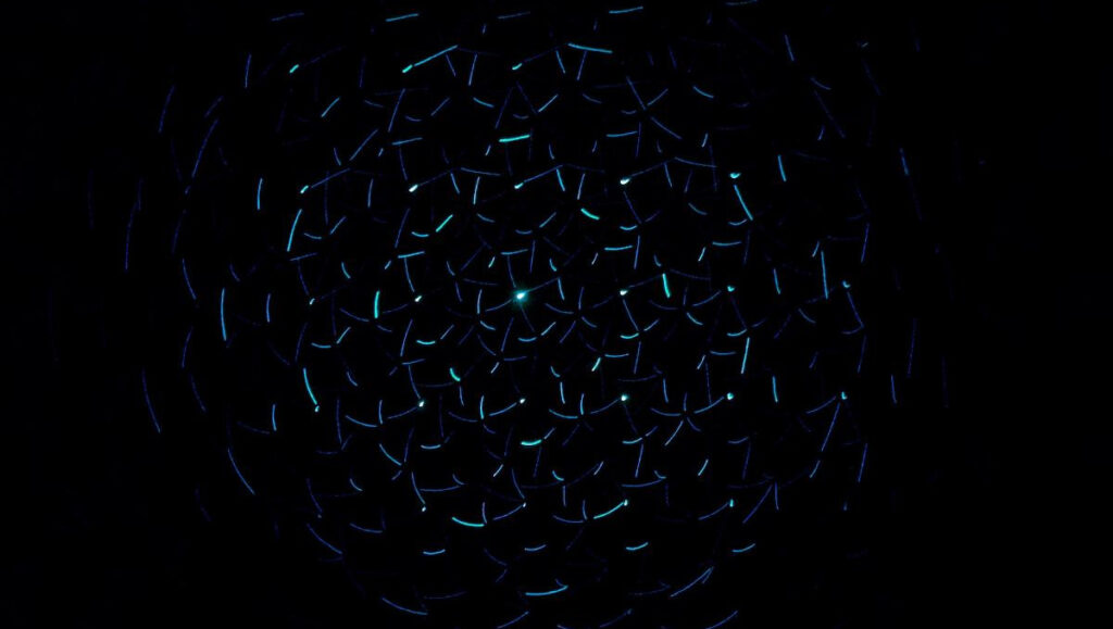 المعفيون من القروض العقارية: 66,015 متوفى خلال 4 سنوات!